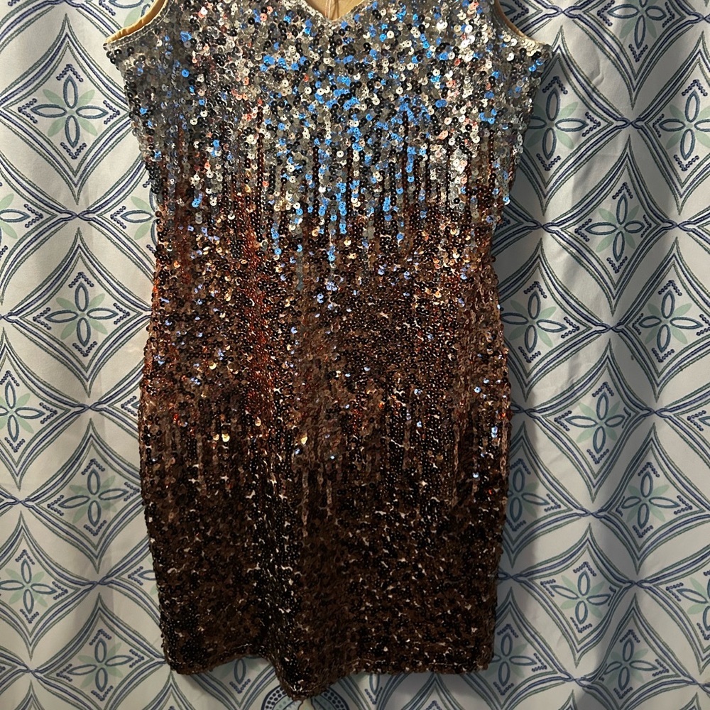 NWT Sequin Ombre Sleeveless Dress w/Perfectly in Tact Embellishments and Lined - Picture 12 of 16